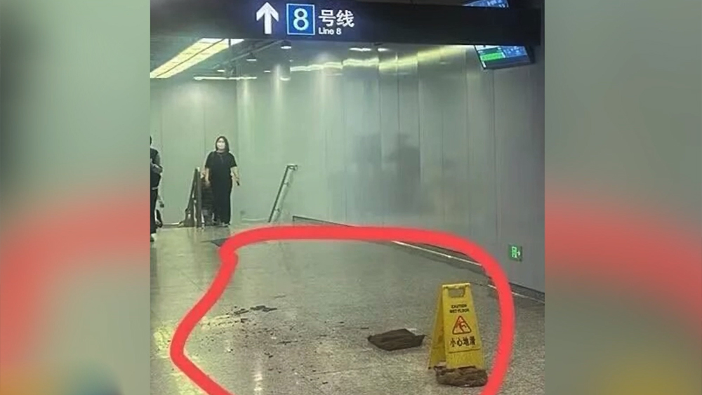 瓶子一诺