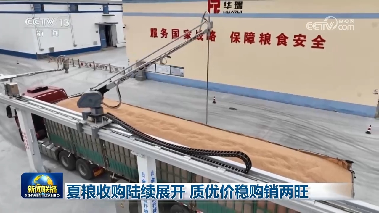 林诗栋蒯曼冠军