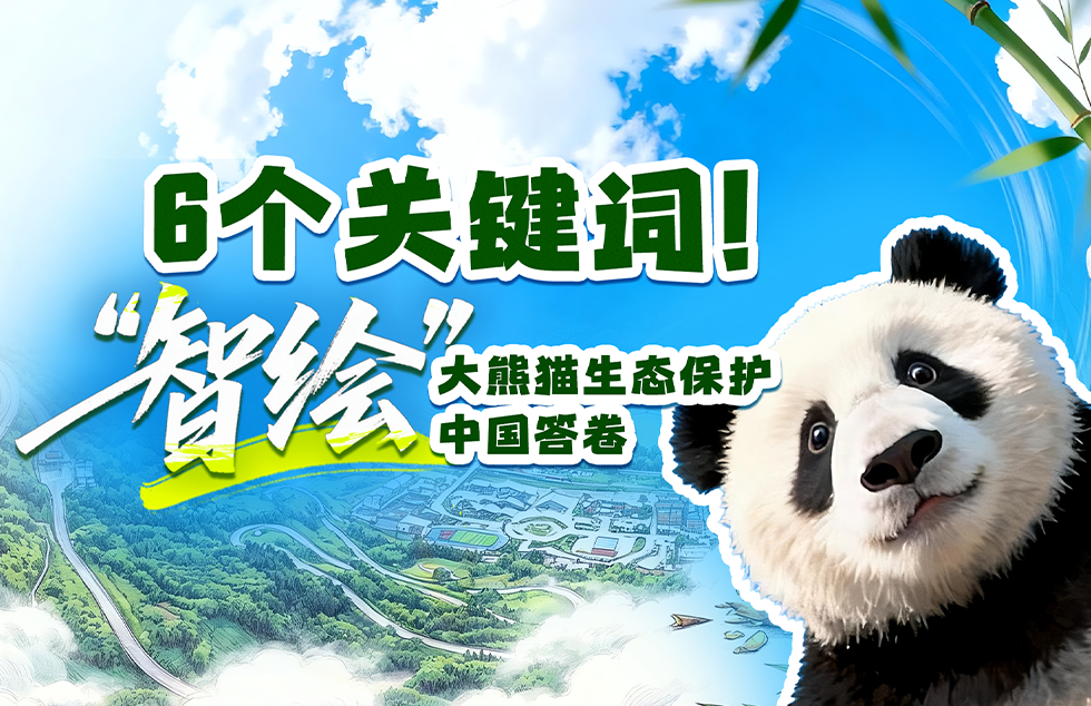 上海爷叔现身被大量股民围观