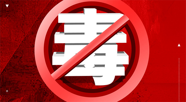 【家国乡情 古韵新潮】龙舟竞渡 端午安康