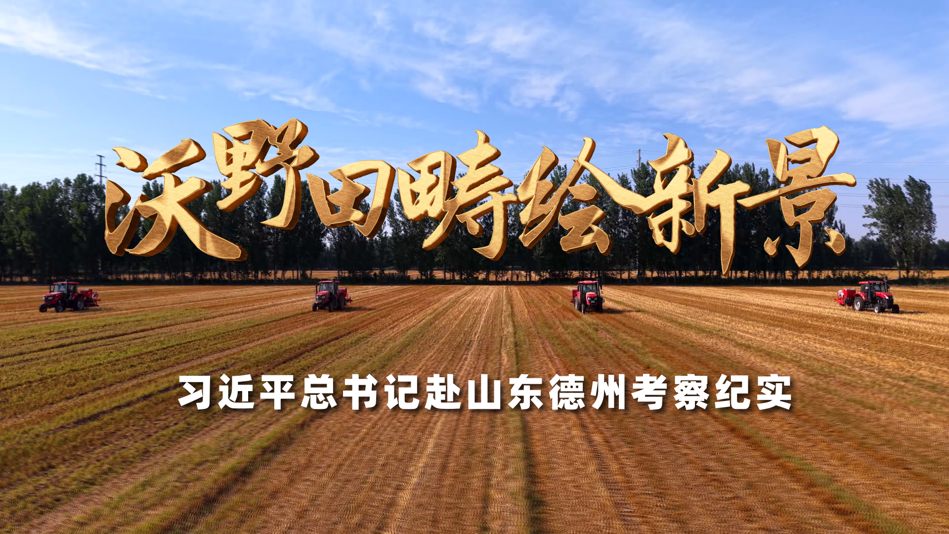奥利背刺