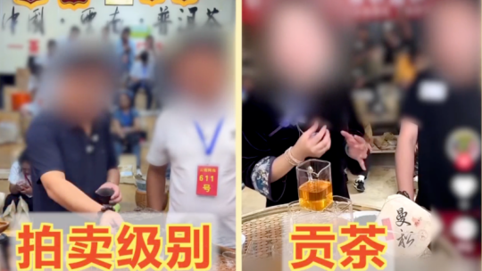 提出“建设有中国特色的社会主义”(伟大征程)