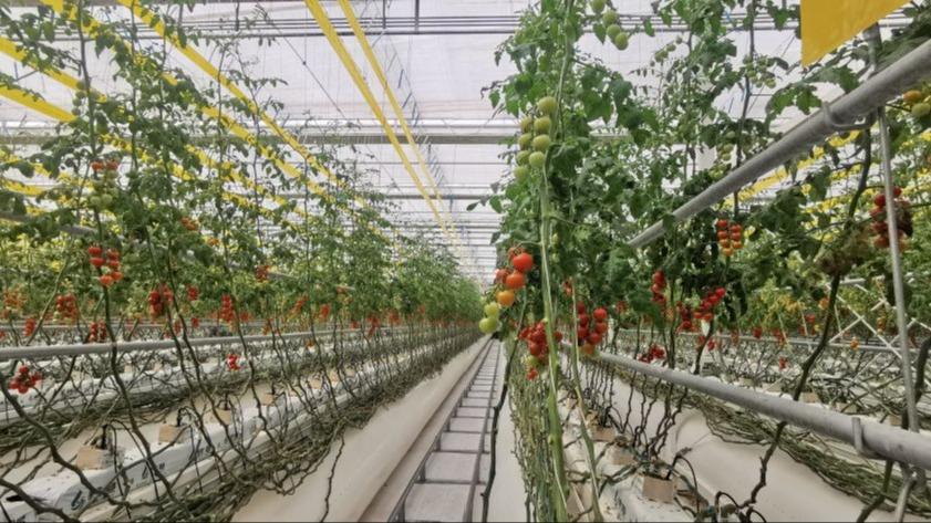 看图学习丨端午时节 重温总书记吟诵过的屈原名句