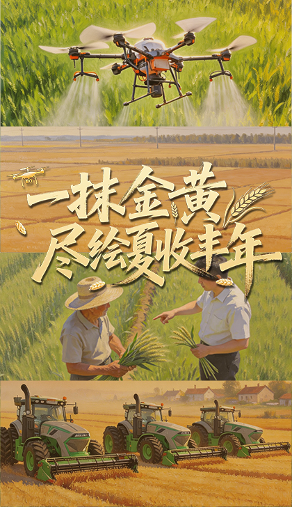 高清在线播放