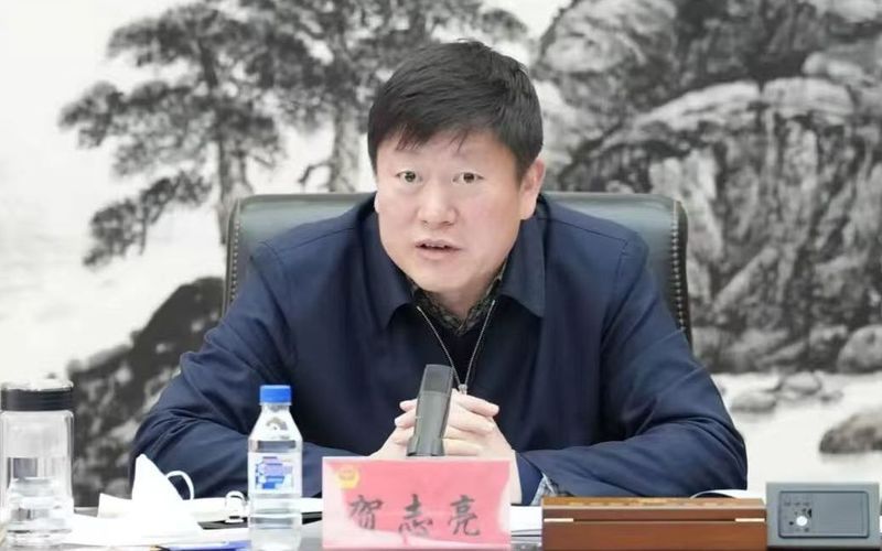 2026中国品牌论坛在雄安举行
