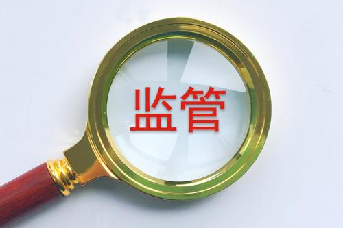 徐艺真上综艺