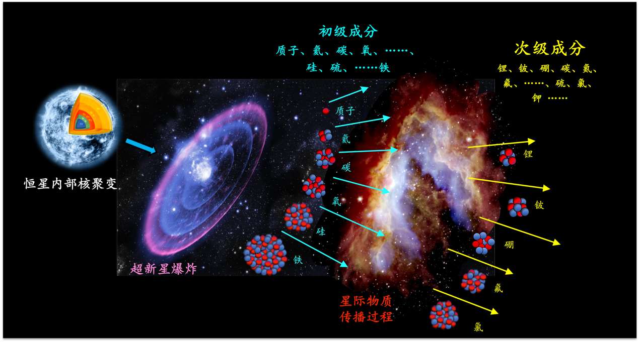 每日经济新闻