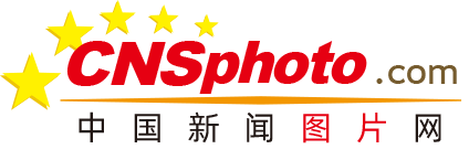 首次回收星舰成功