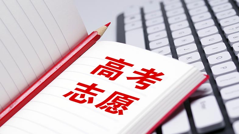 习言道｜走到田间地头，总书记说完夏粮说秋粮
